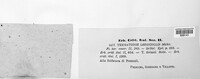 Image Associated With the Occurence
